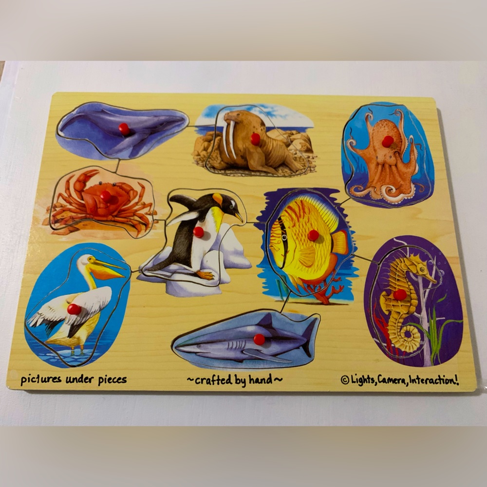 Wooden peg puzzle